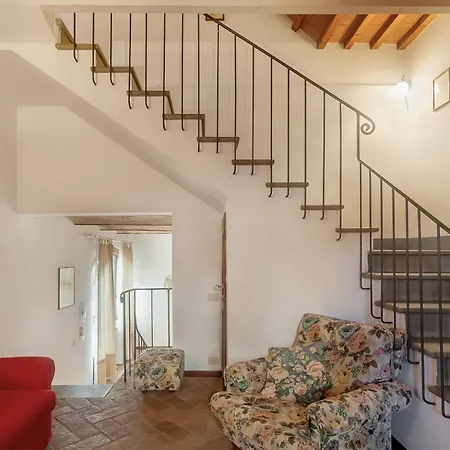 Le Ginestruzze