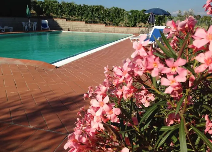 Le Ginestruzze Farm stay