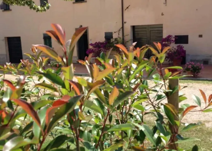 Farm stay Le Ginestruzze Montespertoli